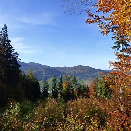 M * Jesionik